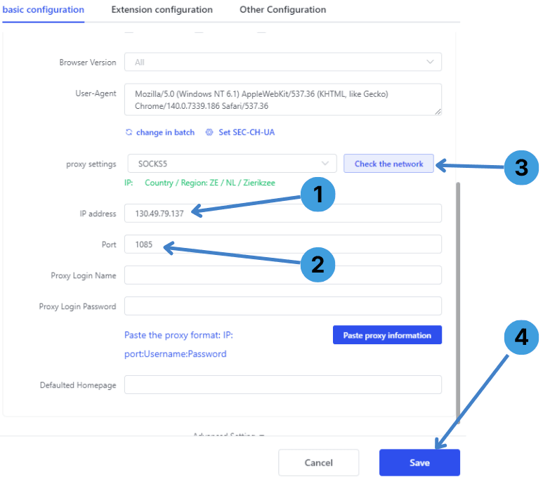 Enter proxy details in the profile