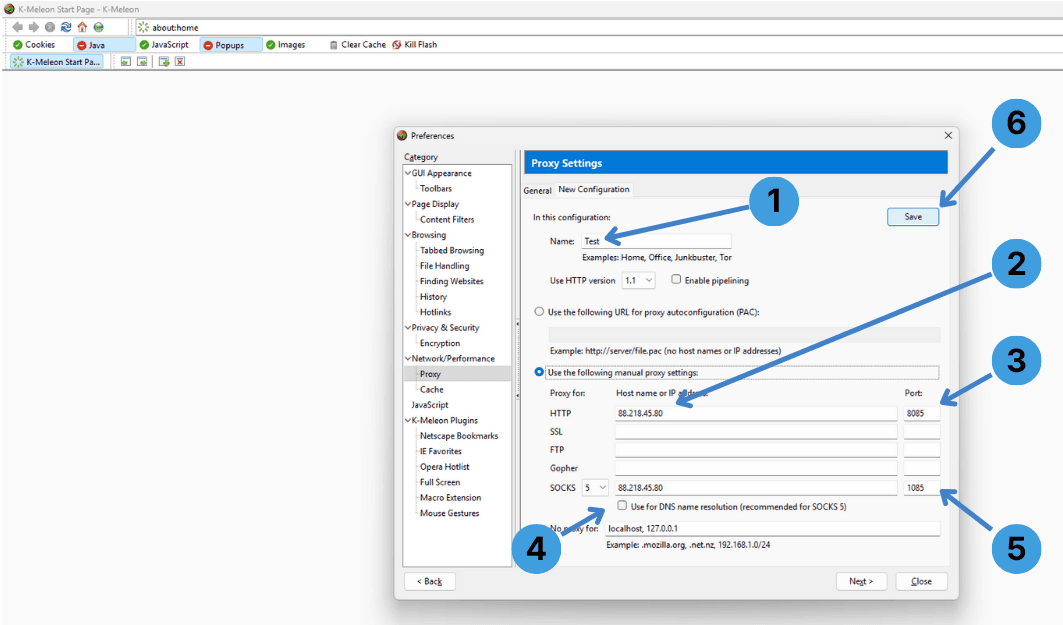 Step 3. Insert proxy data into the configuration