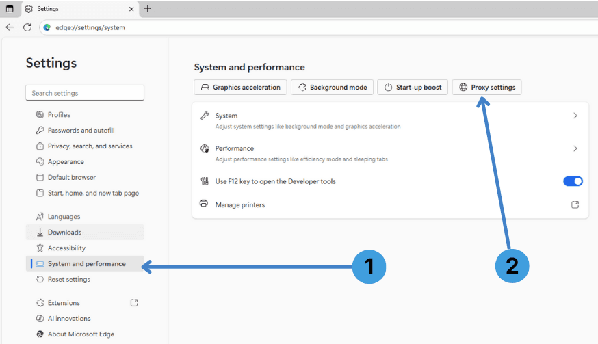 Step 2. Go to System and performance and open proxy settings