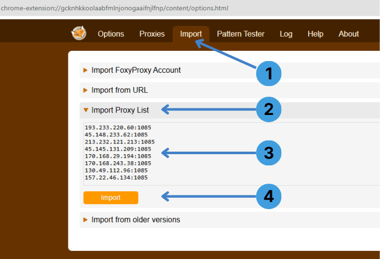 Open the “Import” tab in FoxyProxy, expand “Import Proxy List”, paste your proxy list, then click “Import”