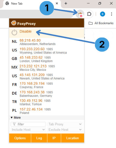 Click the FoxyProxy icon in the toolbar, then click “Disable” to turn the proxy off or select a proxy profile to switch to it