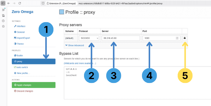 In ZeroOmega, select your profile and fill in protocol, server, and port to set up a proxy quickly
