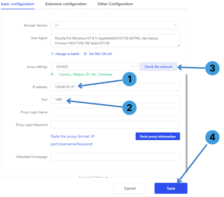 Enter proxy details in the profile