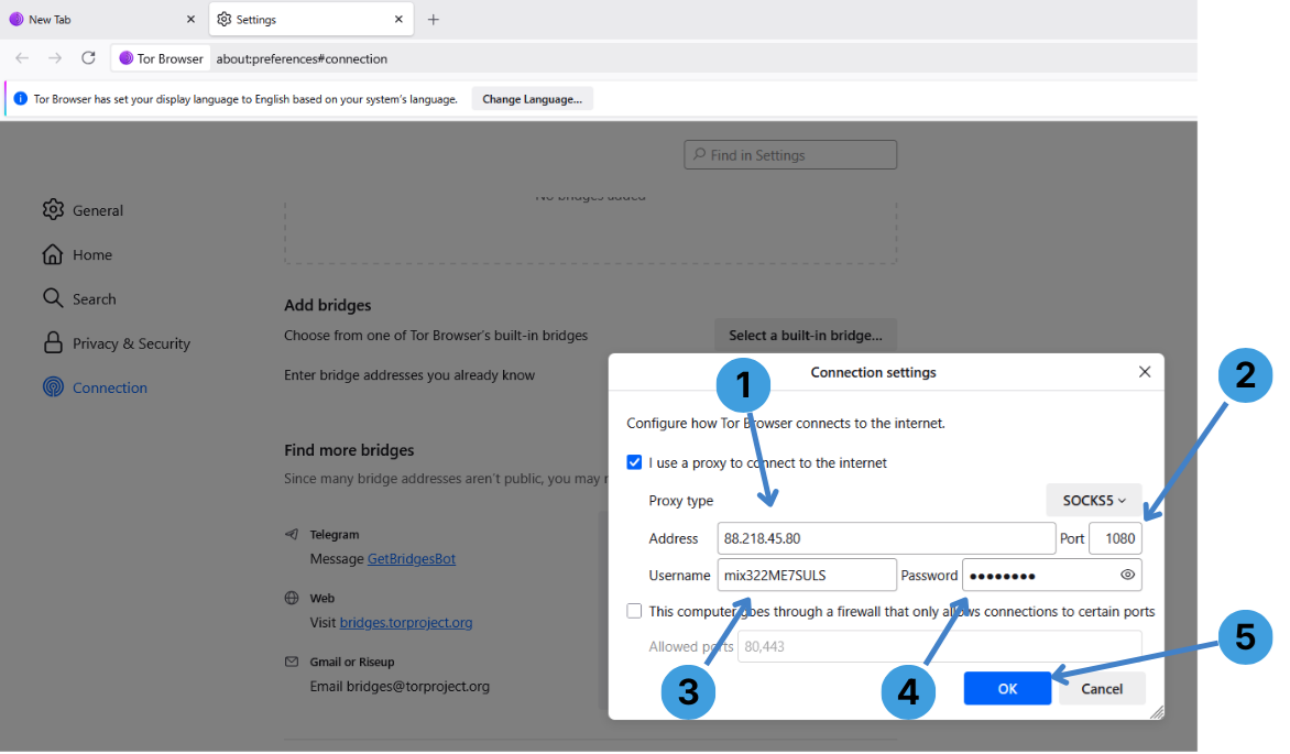 Enter proxy address and authentication