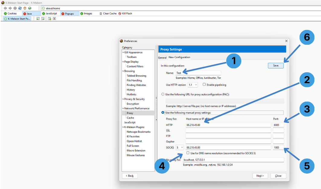 Step 3. Insert proxy data into the configuration