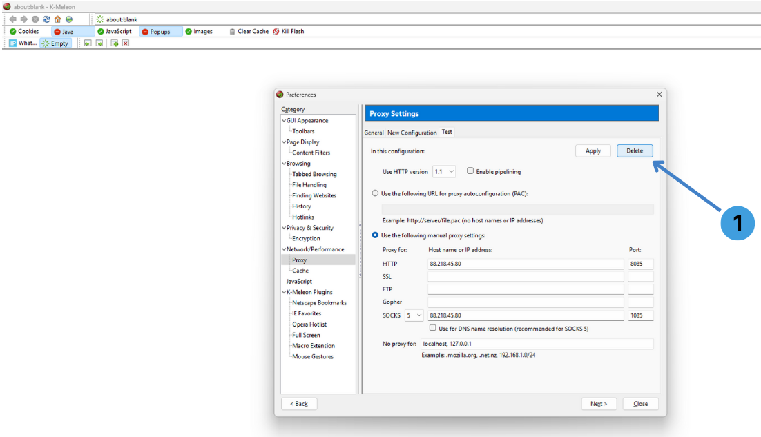 Step 4. Delete a proxy configuration