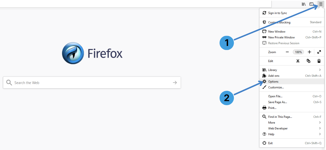 Step 1 – Open the IceDragon menu