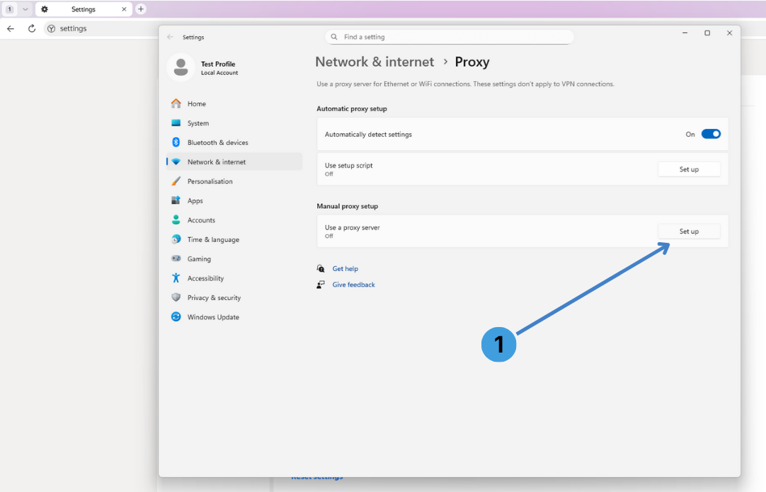 Step 3. Start manual proxy setup