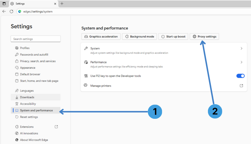 Step 2. Go to System and performance and open proxy settings