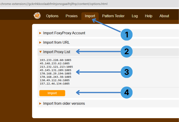 Open the “Import” tab in FoxyProxy, expand “Import Proxy List”, paste your proxy list, then click “Import”
