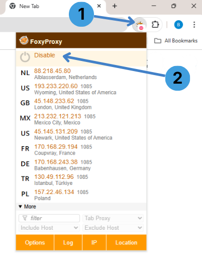 Click the FoxyProxy icon in the toolbar, then click “Disable” to turn the proxy off or select a proxy profile to switch to it