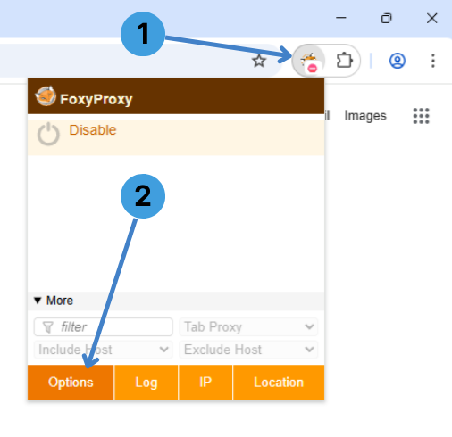 Click the FoxyProxy icon in the Chrome toolbar, then click “Options” to open the settings page