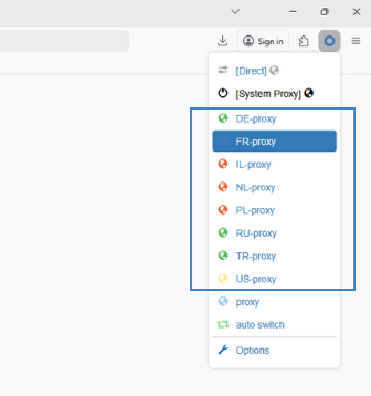 Click the ZeroOmega icon to view and switch between the proxy profiles you created
