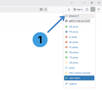 Disable ZeroOmega proxy usage by opening the menu and selecting “[Direct]”
