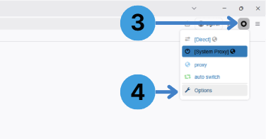 After installation, click the ZeroOmega icon in the toolbar and open “Options” to access the settings page
